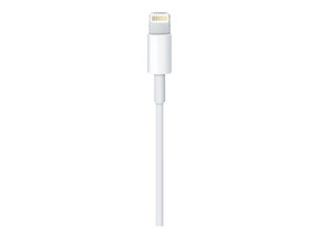 Apple Lightning-Kabel - Lightning männlich zu USB männlich