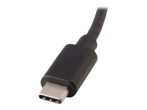 V7 Externer Videoadapter - USB-C - DisplayPort