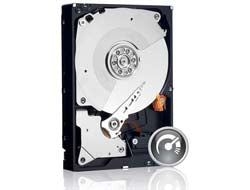 WD_BLACK WD Black Performance Hard Drive WD2003FZEX - Festplatte - 2 TB - intern - 3.5" (8.9 cm)