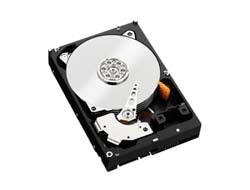 WD_BLACK WD Black Performance Hard Drive WD1003FZEX - Festplatte - 1 TB - intern - 3.5" (8.9 cm)