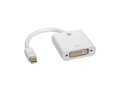 V7 Videoadapter - Mini DisplayPort männlich zu DVI-D weiblich